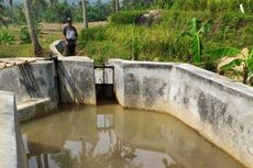 Sudah Terbukti, Pembangungan Dam Parit Bisa Jaga Produksi Pangan