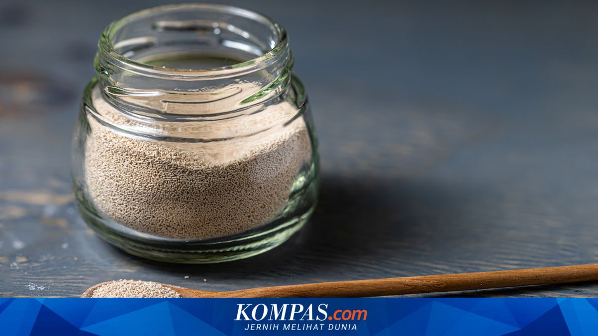 4 Jenis Ragi untuk Bikin Roti dan Donat, Yuk Kenali