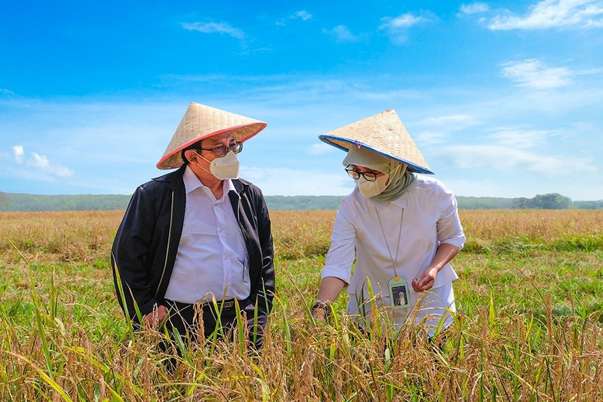 Perum Bulog melakukan sejumlah strategi terkait pasokan beras guna mengantisipasi dampak fenomena El Nino. 