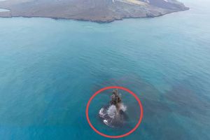 Daratan Baru Seluas 30,3 Hektare Muncul di Dekat Anak Krakatau, Ini Penjelasan Petugas Pos