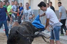 Remaja Ini Tewas Kehabisan Darah Setelah Diseruduk Banteng dalam Festival