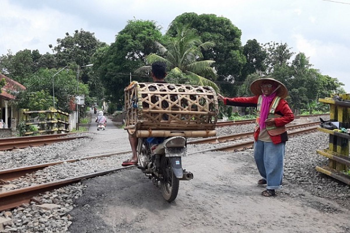 Nenek Kasturah saat mengatur arus lalu lintas pengendara yang melintas di perlintasan tanpa palang pintu KA di Desa Kampil, Wiradesa, Kabupaten Pekalongan Jawa Tengah.