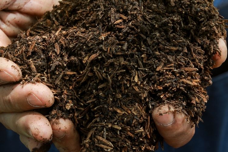 Ilustrasi pupuk organik padat