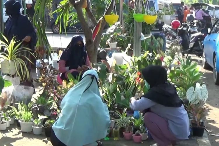 Penjual Tanaman Hias di Kecamatan Ngadiluwih