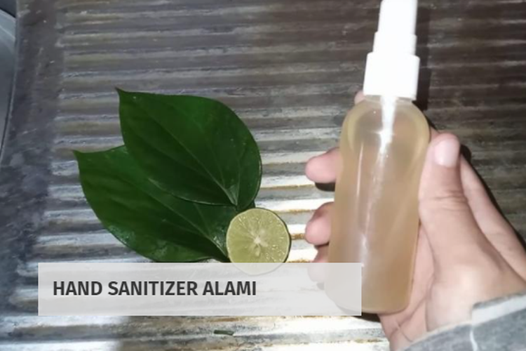 Mahasiswa UNY bagikan cara membuat hand sanitizer berbahan alami dengan menggunakan daun sirih dan jeruk nipis.