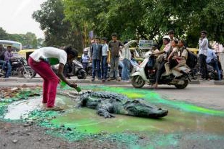 Seorang seniman asal kota Bangalore, India, Baadal Nanjundaswamy membuat sebuah patung buaya sepanjang 4 meter lalu menaruhnya di lubang jalan yang tak kunjung diperbaiki sebagai bentuk protes.
