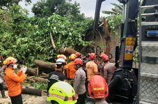 Duet Jay Idzes dan Tarik Muharemovic Jadi yang Terbaik di Serie A Musim Ini