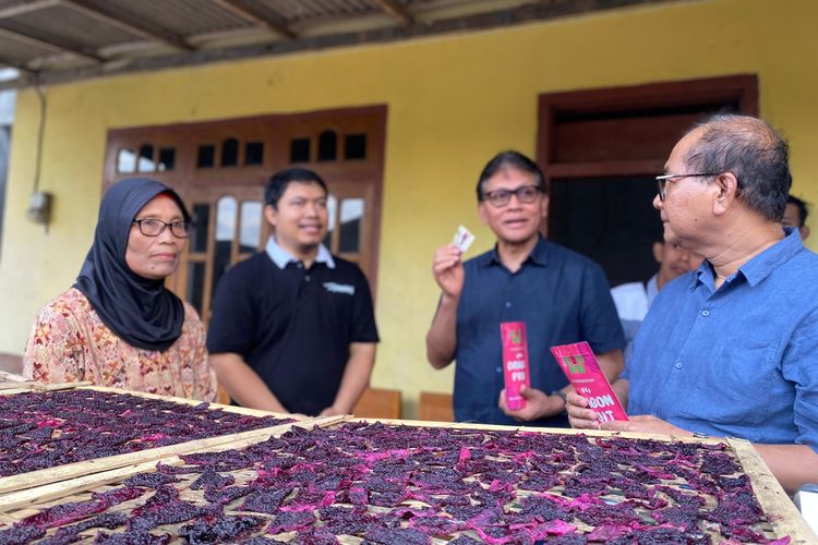 Petani Binaan Astra melalui Yayasan Dharma Bhakti Astra (YDBA), Sumartini (kiri) bersama Ketua Pengurus YDBA Rahmat Samulo (kedua kanan), Sekretaris Kementerian Koperasi dan UKM RI Arif Rahman Hakim (kanan) dan Koordinator Lembaga Pengembangan Bisnis (LPB) Astra di Banyuwangi Azzuhri Tri Ahara (kedua kiri) saat menunjukkan buah naga yang dikeringkan sebagai bahan baku pembuatan produk olahan buah naga, berupa sale buah naga di Banyuwangi.