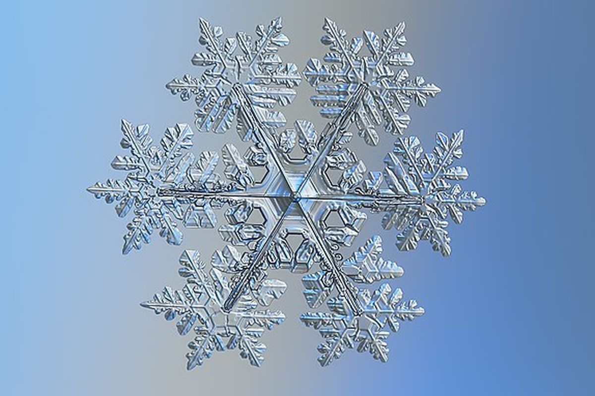 Snowflakes atau bunga salju.