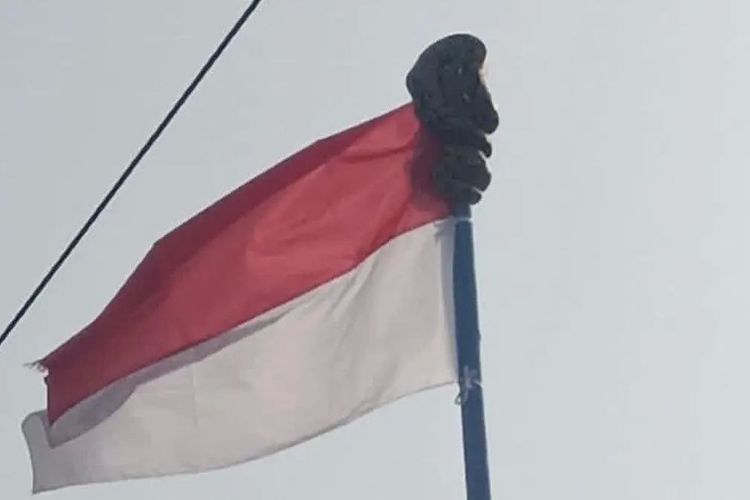 Gegerkan Siswa SD di Sidrap, Ular Piton 2 Meter Nangkring di Puncak Tiang Bendera