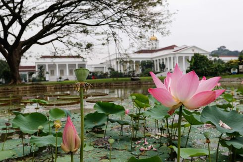 6 Istana Kepresidenan yang Ada di Indonesia, Apa Saja?