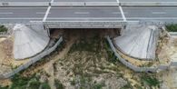 Terowongan Gajah di Tol Permai, Contoh Infrastruktur Jaga Habitat Satwa