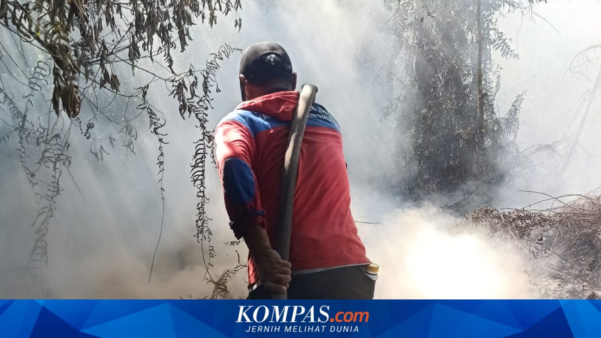 Karhutla di Kotim Capai 11 Hektar, BPBD Jinakkan Api di Kawasan Bandara H Asan Sampit