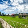 Desa Wisata Tondok Bakaru Tawarkan Panorama Sawah dan Kebun Anggrek