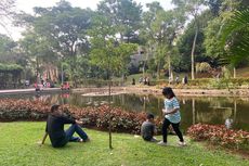 Cara Menuju Taman Spathodea di Jakarta Selatan, Naik Angkutan Umum
