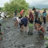 Warga Pesisir Utara Sumbawa Lakukan Aksi Restorasi dan Rehabilitasi Hutan Mangrove