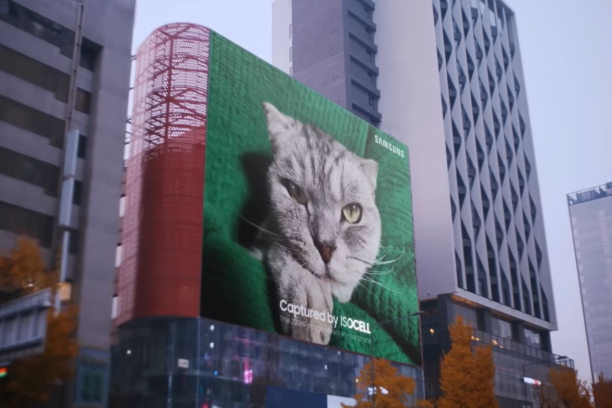 Gambar kucing yang dicetak di sebuah baliho besar dan dipamerkan di sebuah gedung oleh Samsung.