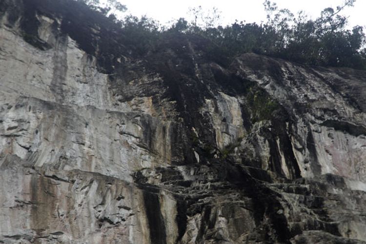 Permukaan tebing Puruk Sandukui, Desa Harowu, Kecamatan Miri Manasa, Kabupaten Gunung Mas, Kalimantan Tengah dilihat dari 70 meter dari kaki tebing sisi timur laut. Dapat terlihat beberapa jalur potensial untuk pemanjatan.