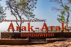 Arak-arak Bondowoso: Daya Tarik, Harga Tiket, dan Jam Buka