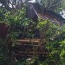 Dianggap Meresahkan, Rumah di Atas Pohon di Kota Malang Dibongkar Satpol PP