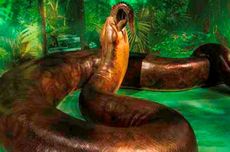 Titanoboa Vs Vasuki Indicus, Ular-ular Raksasa yang Pernah Menghuni Bumi