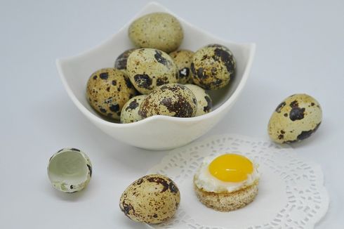 Telur Puyuh Mengandung Kolesterol Tinggi? Ini Penjelasan Dosen IPB