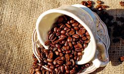 Kanal Digital Buka Peluang Baru bagi UMKM Kopi Indonesia