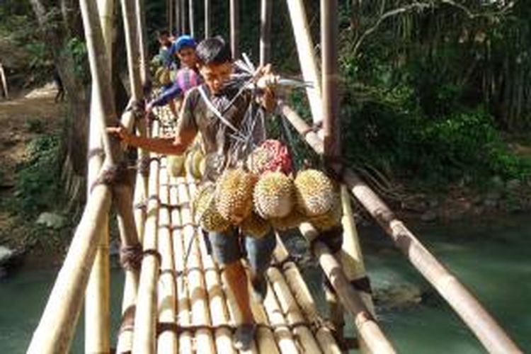 Melintasi jembatan bambu sambil memikul durian.