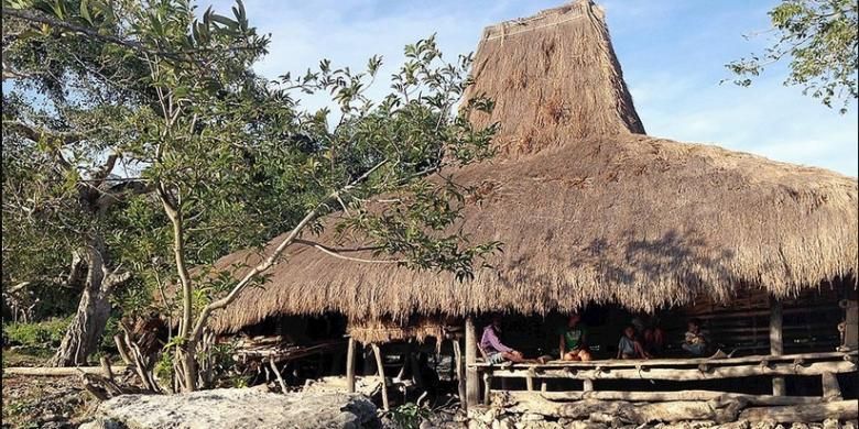 Suasana Desa Adat Wunga, Kecamatan Haharu, Sumba Timur, pekan lalu. Desa yang berada di atas bukit kapur dan ada banyak kubur batu tua itu dipercaya warga Sumba sebagai kampung pertama nenek moyang mereka. Studi genetika menemukan, Wunga memiliki keragaman genetik paling lengkap di seluruh Sumba sehingga diduga orang Sumba berasal dari desa itu. 