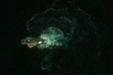 Monster Laut Tertangkap Kamera Google Earth?