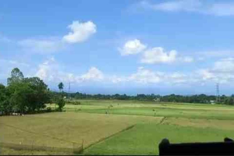 Hamparan sawah di Stasiun Maros