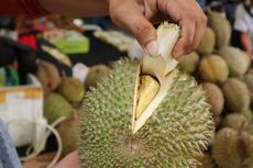 Doyan Durian? Yuk, Berburu Durian di Pekan Raya Durian