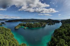 Kaimana Papua Barat Jadi Lokasi Prioritas Konservasi Hiu Paus