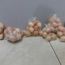 Telur Infertil Layak Konsumsi, Tapi Cepat Membusuk