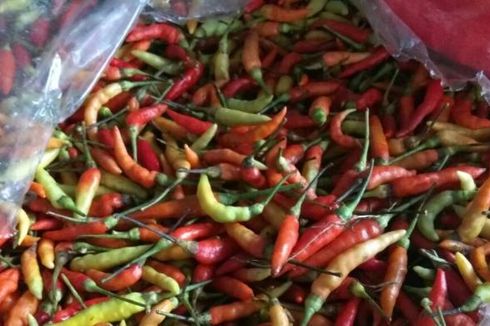 Di Depok, Harga Cabai Rawit Merah Makin Pedas dan Menguras Dompet