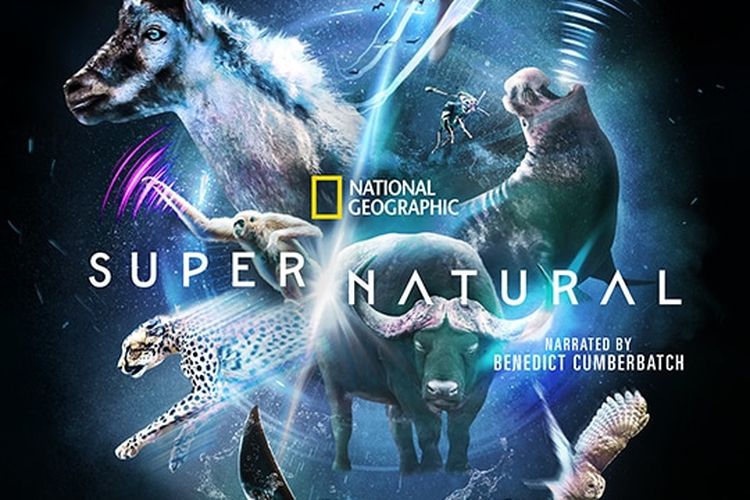 Poster serial Super/Natural