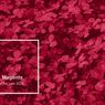 Akan Jadi Tren pada 2023, Begini Cara Pengaplikasian Warna Viva Magenta di Hunian