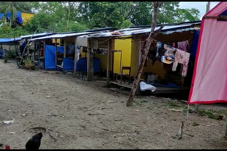Warga Desa Mekatta, Kecamatan Malunda, Kabupaten Majene, Sulawesi Barat, yang masih tinggal di lokasi pengungsian korban gempa.