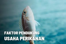 Faktor Pendukung Usaha Perikanan di Indonesia 