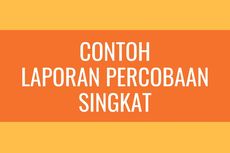 Contoh Laporan Percobaan Singkat