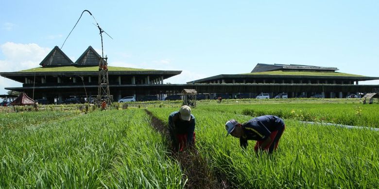 Sejumlah petani beraktivitas di depat Terminal Bandara Banyuwangi yang berkonsep 'green building'.