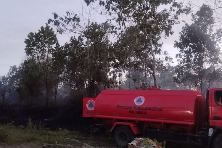 Area lahan warga yang nyaris terbakar akibat sekumpulan anak anak yang main masak masakan