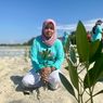 Lawan Abrasi, Dompet Dhuafa-Walhi Tanam 1.000 Mangrove di Pulau Pari