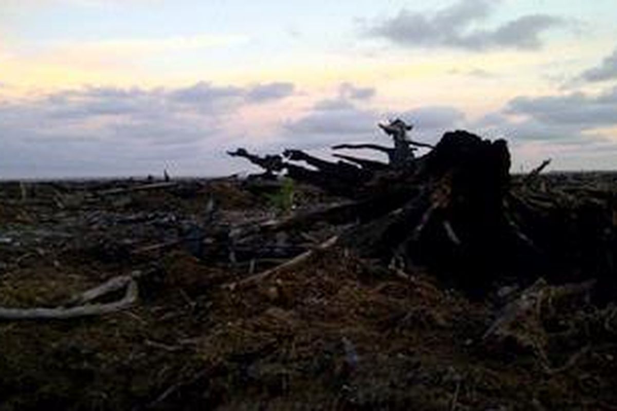 Kehancuran Rawa Tripa