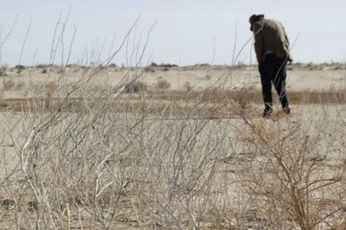 Petani Korban Kekeringan di Australia Dapat Dana Bantuan