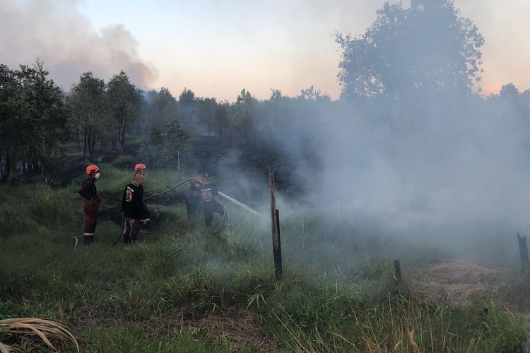 200,6 Hektar Lahan di Banjarbaru Terbakar, Pemkot Tetapkan Status Siaga Karhutla