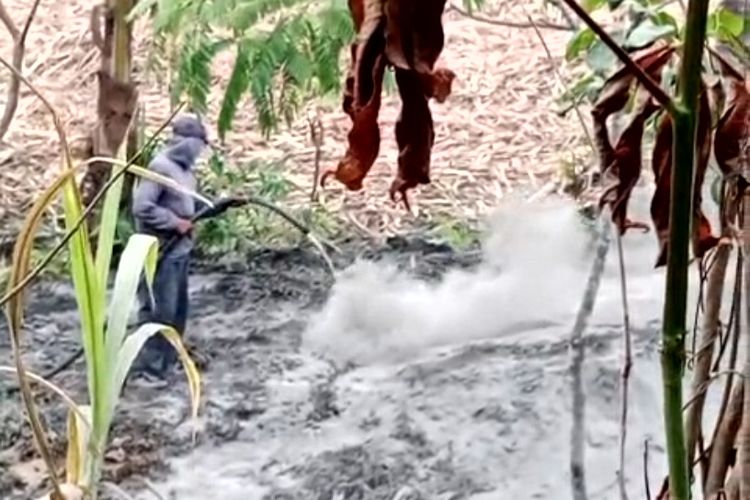 Terperosok ke Hamparan Limbah Pabrik Gula, 2 Petani di Blitar Alami Luka Bakar Serius