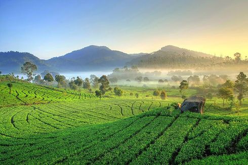 Kabupaten Bandung Akan Hadirkan Wisata Bertaraf Internasional di Rancabali