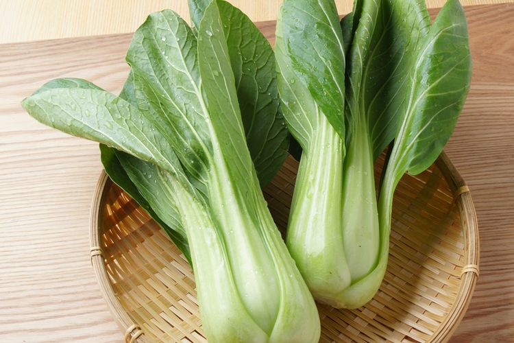 Ilustrasi sayuran bok choy. 