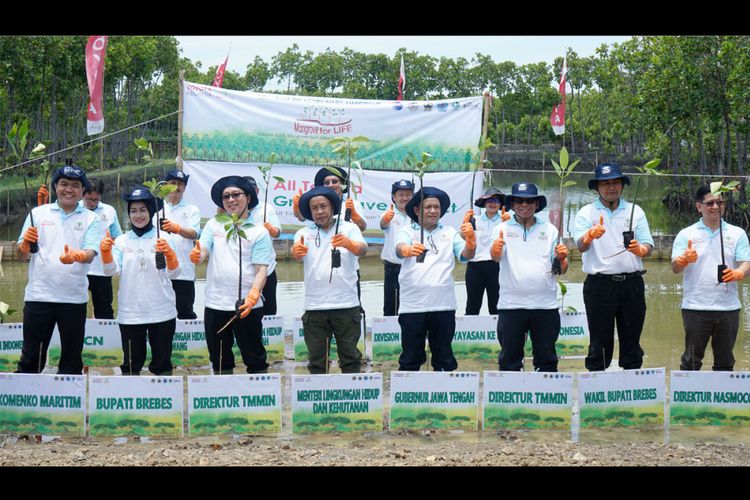 Toyota Forest di Kawasan Wisata Mangrove Pandansari, Desa Kaliwlingi, Brebes, Jawa Tengah.